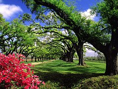 Boone Hall Plantation, South Carolina